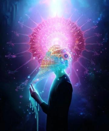 震驚!七大逆天冷知識揭秘,末一條令人瞠目結舌!