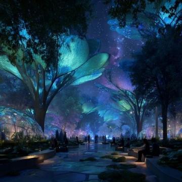 南昌首個文旅觀光夜市"楓林夜間集市"將于2025年開業(yè)