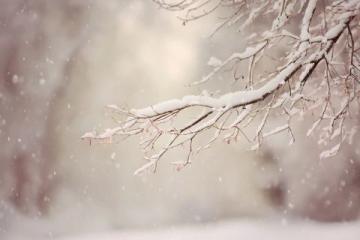 朋友圈各地飄雪,溫暖冬日期待一場大雪紛飛;在寧靜中迎接新年,祈愿生活更美好