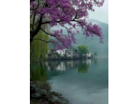 濃濃的茶香、絢爛的秋色、靜謐的湖光，開化景區有著一絲仙氣。