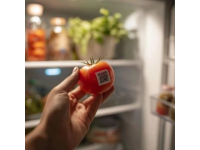 十大食品安全小常識(shí),字?jǐn)?shù)在10到40個(gè)字之間。