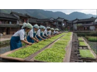 貴州黔南的酒席之道！全憑自己動(dòng)手炒菜，口味隨心所欲