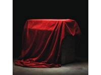 揭秘：“垃圾食品”可能沒那么糟，我們誤解已久的食物真相！