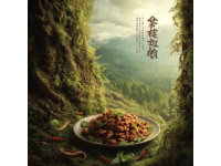 小廟龍湖地塊案名揭曉，美食城小區地塊信息公示