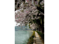 五一游洋沙湖感覺挺好的，人少景也美