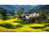 皖南春節(jié)之旅，體驗(yàn)非凡韻味年節(jié)