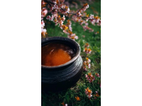 家常海帶豬蹄湯，滋補養(yǎng)生兩不誤