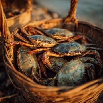 夏日微風中的味蕾享受:寶應六月鮮蟹黃魚頭煲