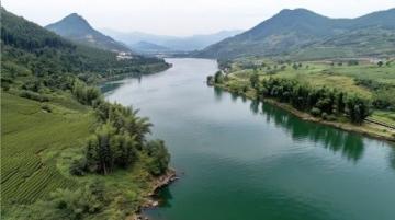 麗水:水質優良的溪魚天堂,華東野生魚類基因庫