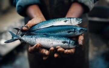 解析夜釣與白天垂釣的優劣對比:魚類習性、環境因素、季節影響全面分析