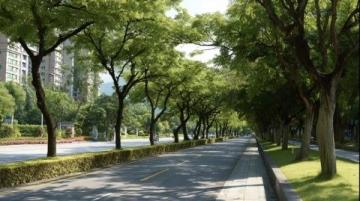 河北邯鄲聯(lián)紡路：見證工業(yè)歷史的變遷與現(xiàn)代生活融合的主干道