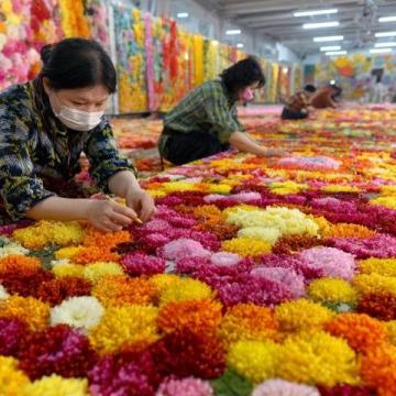 春節途經雞街收費站：對紅河人而言，這里充滿回憶與鄉愁