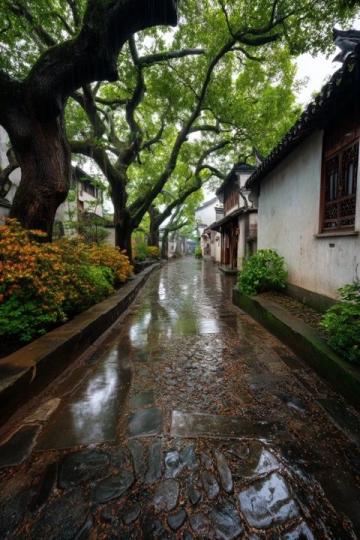 時雨紛紛,清明時節雨紛紛