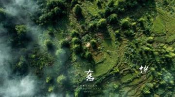 回家路上的思考與感受，南陽到杭州那一趟！