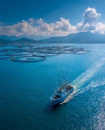 廣東老板創(chuàng)新魚塘經(jīng)營(yíng)策略：從單一產(chǎn)品到多樣化服務(wù)的成功轉(zhuǎn)型