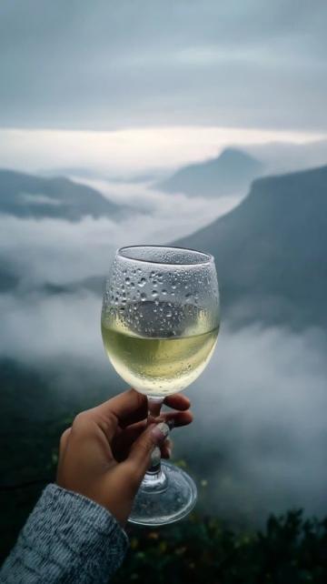 香港的酒文化有什么特色?