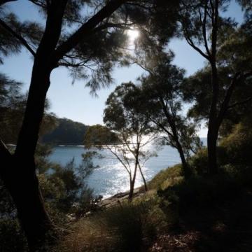 您可以從墨爾本出發沿大洋路去往十二使徒巖，一邊欣賞維多利亞西海岸的壯麗海景