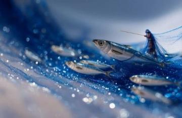 自制發(fā)酵飼料:養(yǎng)殖業(yè)降本增效的秘籍