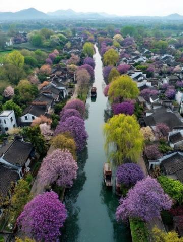 旅游你踩過哪些坑南京的旅游資源頗為豐富，不過在游玩期間可能會碰到一些陷阱