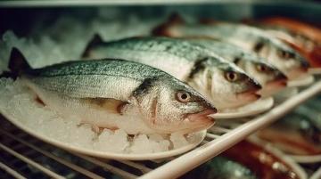老家生活如魚(yú)得水：新鮮美食與自給自足的幸福感