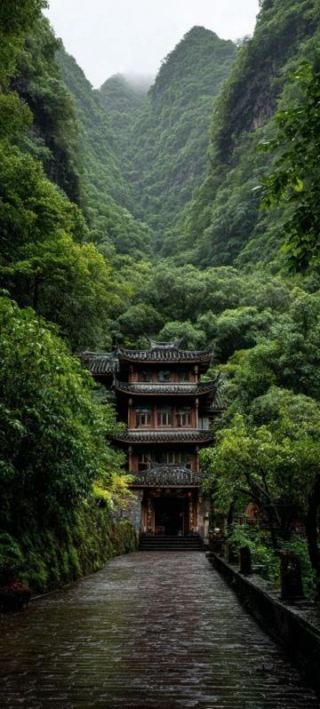 在浙江省的一個偏遠角落，夏陽村曾經是一個鮮有人知的小村莊，然而