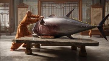 進(jìn)去！我只收釣費(fèi)，不提供魚,這件事在沈陽的社交媒體上引發(fā)了熱議