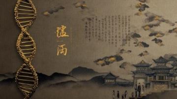 千年墨香里的南陽(yáng):晨光與暮色交織的詩(shī)意古城