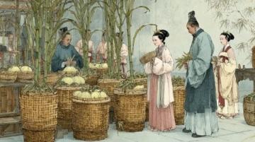 紅樓夢中的姑蘇風韻:曹雪芹筆下的蘇州描繪及特色物產(chǎn)