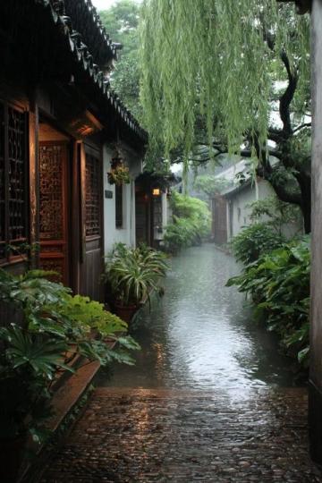 順德一日游之旅:精選親子景點