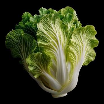 大骨棒燉酸菜(春節必吃美食)