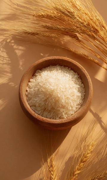 懶人福音!兩分鐘學會兩款美味燜飯,營養滿分省時省力