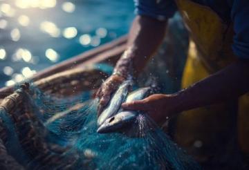解析夜釣與白天垂釣的優劣對比:魚類習性、環境因素、季節影響全面分析