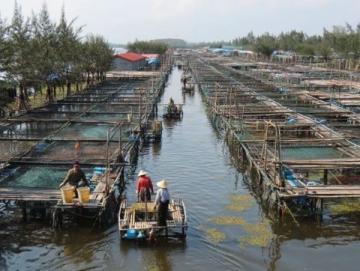 成都魚販與城管的小風波：民生艱難還是城市管理不善？