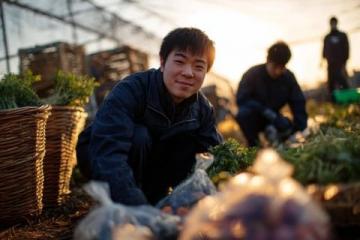 南沙生活體驗:百元購大袋新鮮蔬菜不再是難題