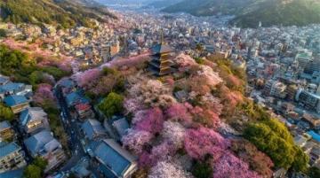 2025年必去的五大春季旅行勝地，跟隨榜單開(kāi)啟新體驗(yàn)