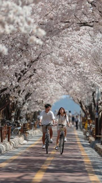 2025年必去的五大春季旅行勝地，跟隨榜單開(kāi)啟新體驗(yàn)
