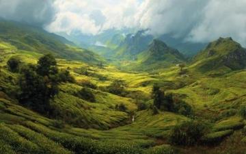夏日云南之旅：花茶與美景的完美邂逅旅行指南