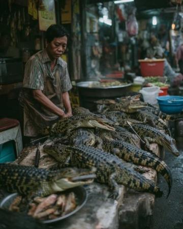成都魚販與城管的小風波：民生艱難還是城市管理不善？