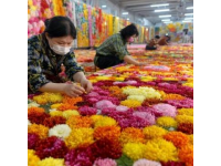 春節(jié)途經(jīng)雞街收費(fèi)站：對(duì)紅河人而言，這里充滿回憶與鄉(xiāng)愁