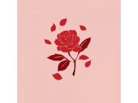 玫瑰創(chuàng)業(yè)與生意現如今玫瑰
