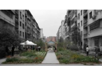 為更好的城市生活習得文明常識