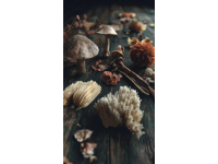 山藥和人參:深度挖掘中醫養生的核心