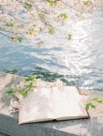 春日抄寫打卡記第63天書，抄書，抄好書,本，讀本，讀好本。書本書本是知識