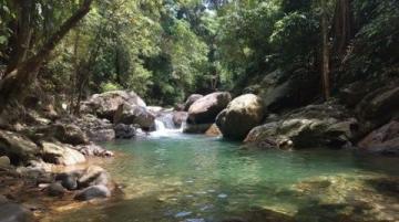 新安江畔三潭枇杷:山水間的甜蜜滋味