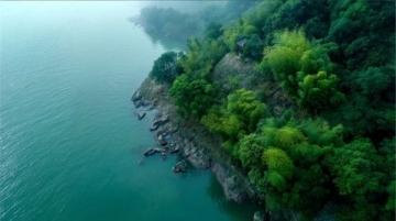探秘莫干山：江浙滬避暑勝地的綠色仙境指南