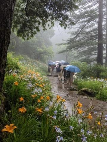 鞍山兩日游攻略及預算估算