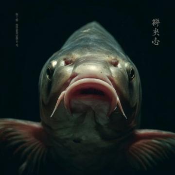 泰熱門節(jié)目使用魔鬼魚引發(fā)爭(zhēng)議,制片人聲明回應(yīng)質(zhì)疑