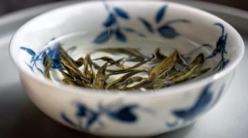 傳承二十載,朱雀打邊爐:粵式藥膳原湯鍋底秘制再現上海