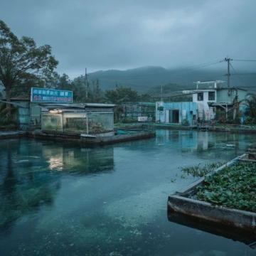 阜陽河道刀魚泛濫村民狂撈背后是生態(tài)改善信號？