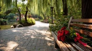 北京東邊免費公園賞花踏青指南，避人潮秘境推薦